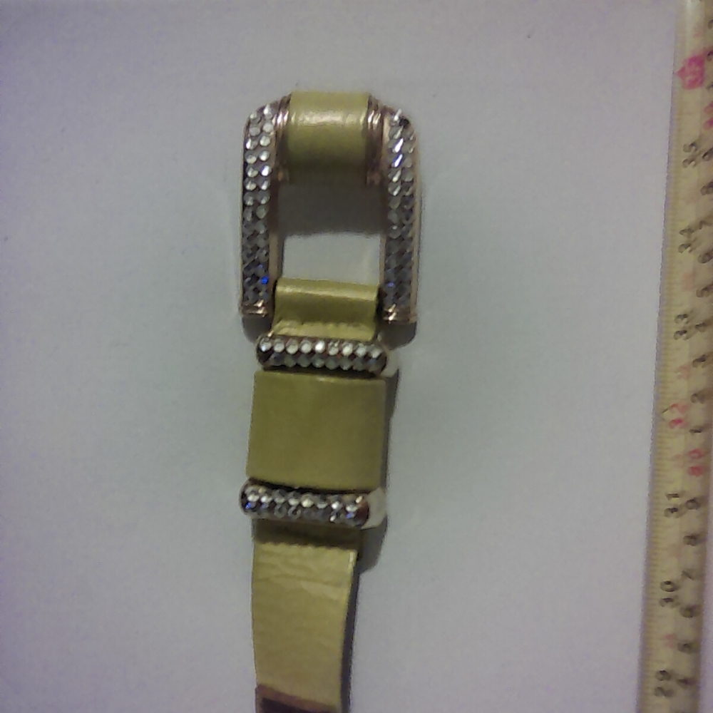 Vintage Beautiful Statement Belt
